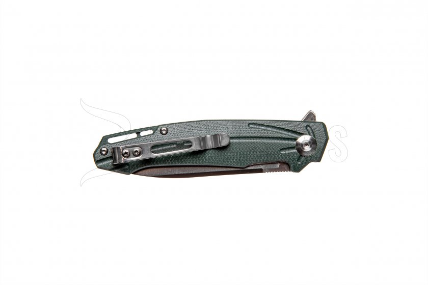 Coltello pieghevole Ganzo Firebird FH21 verde