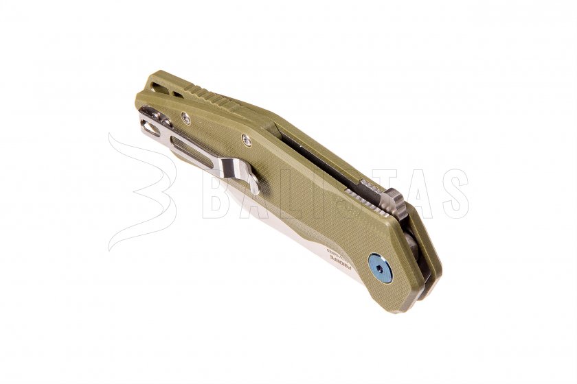 Coltello pieghevole Ganzo Firebird FH31-GB
