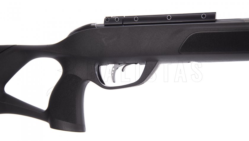 Carabina ad aria compressa Gamo Roadster IGT 10X GEN2 4,5mm - 24J