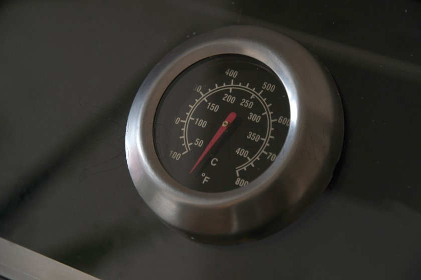 Barbecue a gas Window 3+1 con ruote