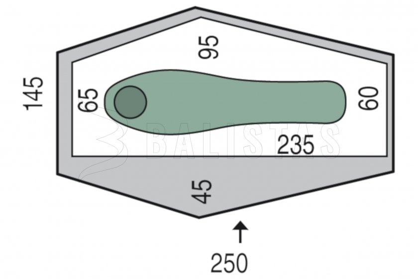 Tenda Pinguin Echo 1 DAC Verde