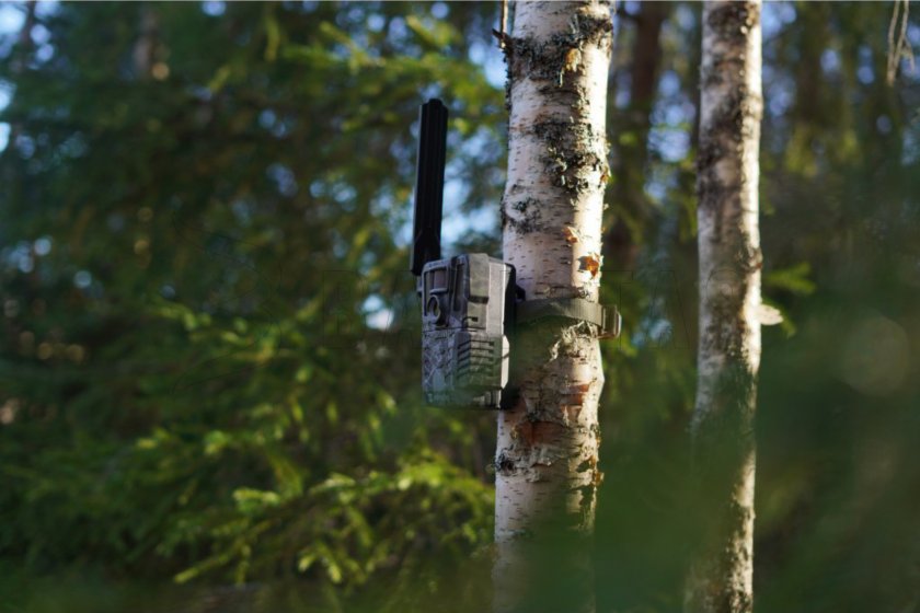 Fototrappola Hikmicro M15