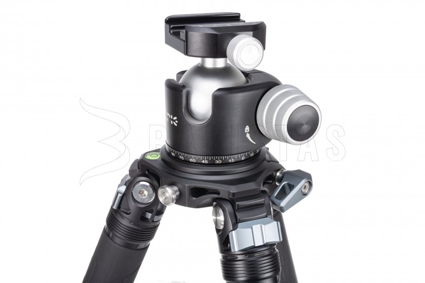 Treppiede Epic Airguns 362C Knob Head