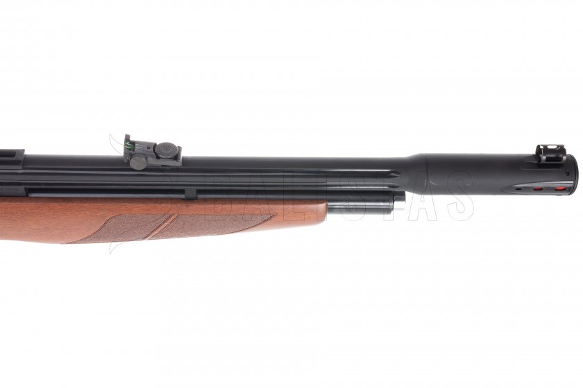 Carabina ad aria compressa Gamo Riser Punisher 5,5mm