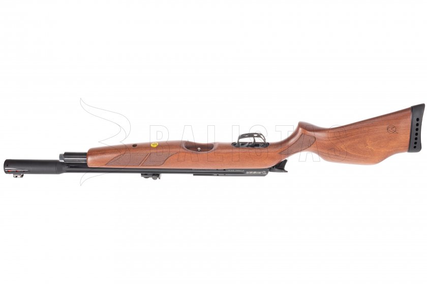 Carabina ad aria compressa Gamo Riser Punisher 5,5mm
