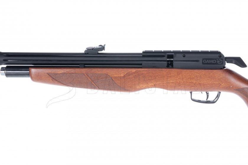 Carabina ad aria compressa Gamo Riser Punisher 5,5mm