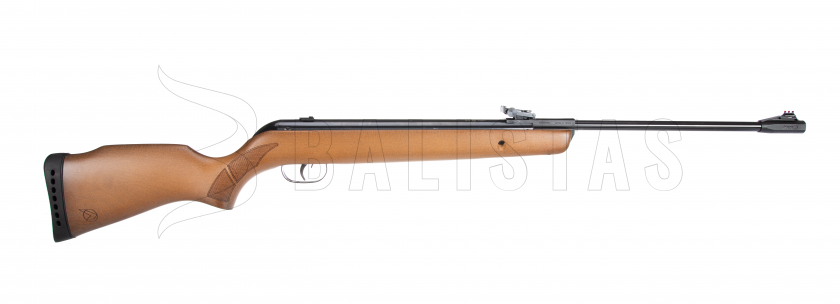Carabina ad aria compressa Gamo Big Cat Hunter 4,5mm - 19J