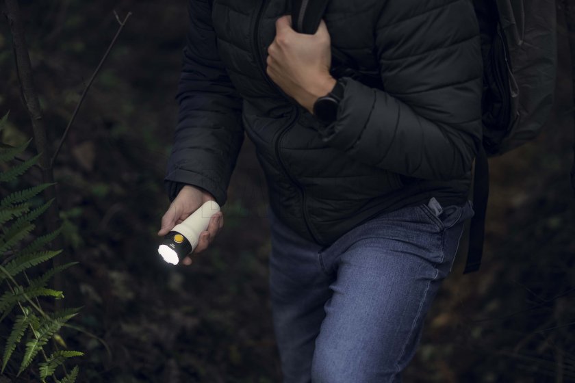 Torcia multifunzione Armytek Bear WRG