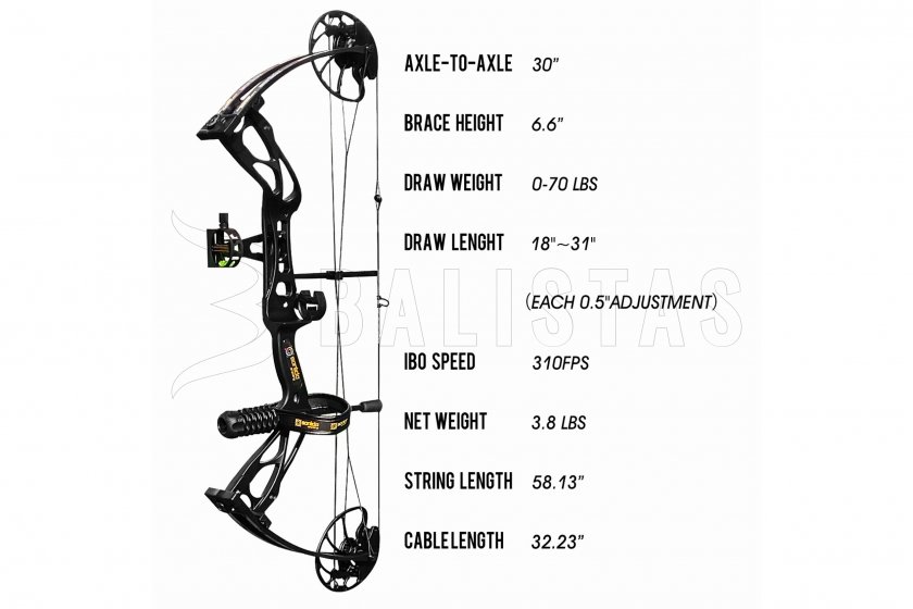 Arco compound Dragon X8 10-60lbs 18''-31'' RH camo