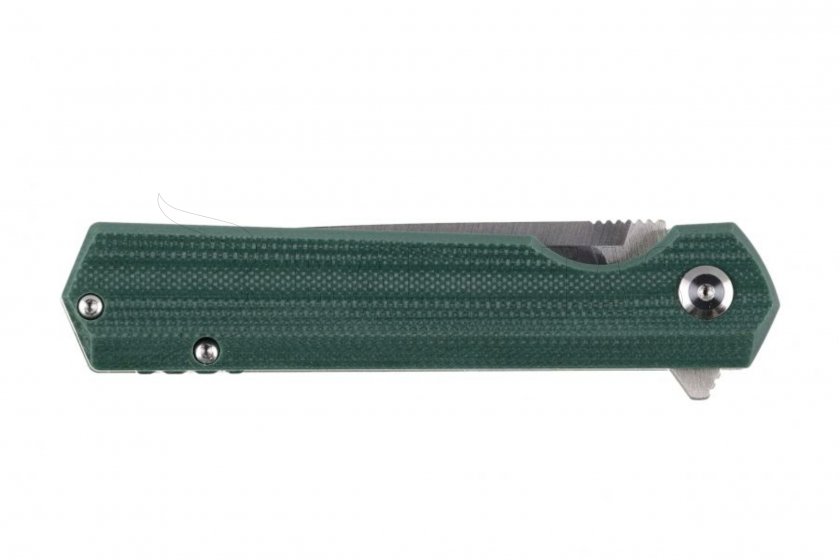 Coltello pieghevole Ganzo Firebird FH11S-GB verde