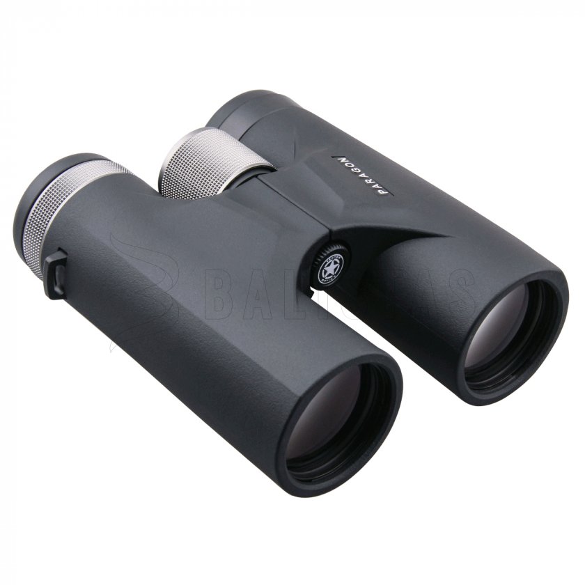 Binocolo Vector Optics Paragon 8x42