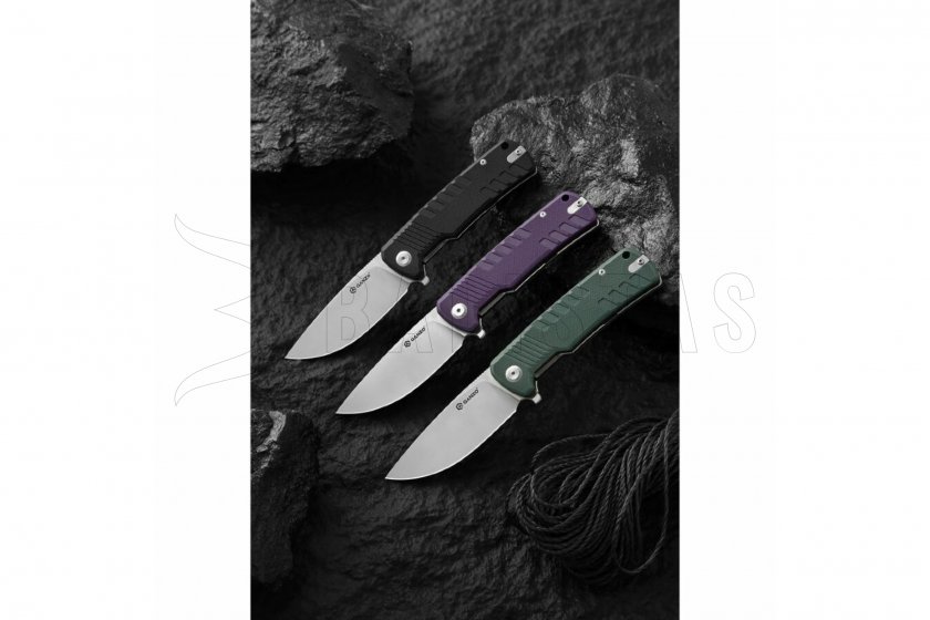 Coltello pieghevole Ganzo G769-BK