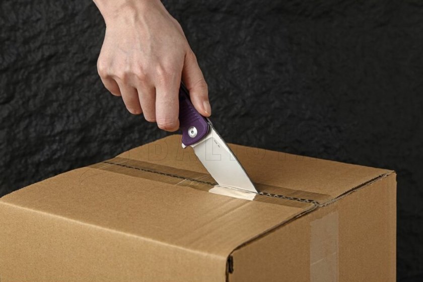 Coltello pieghevole Ganzo G769-BK