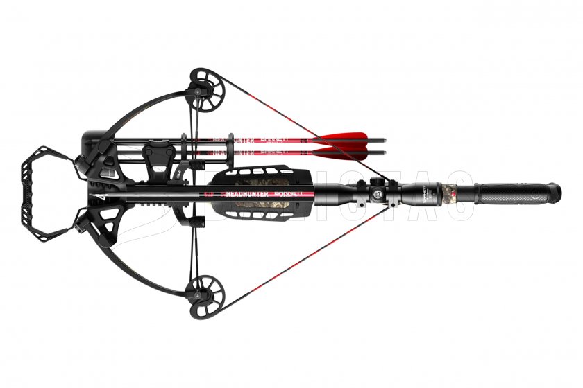 Balestra compound Barnett Explorer XP385 185lb