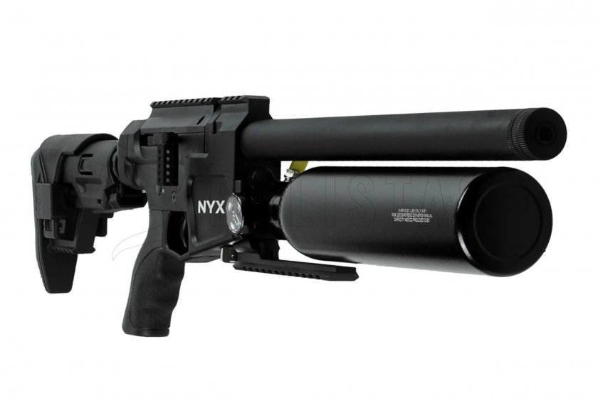 nyx c02.jpg