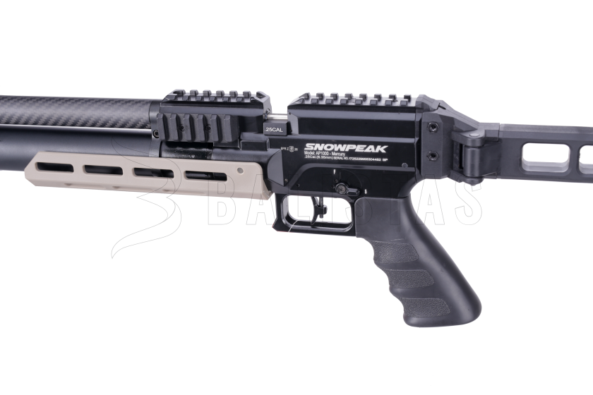 AP100022 (2)