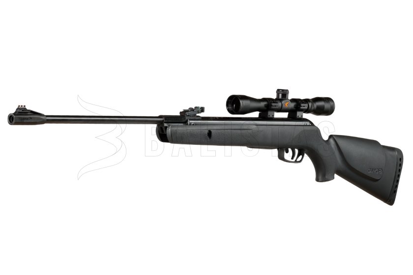 Carabina ad aria compressa Gamo Big Cat 1000 4,5mm set 3