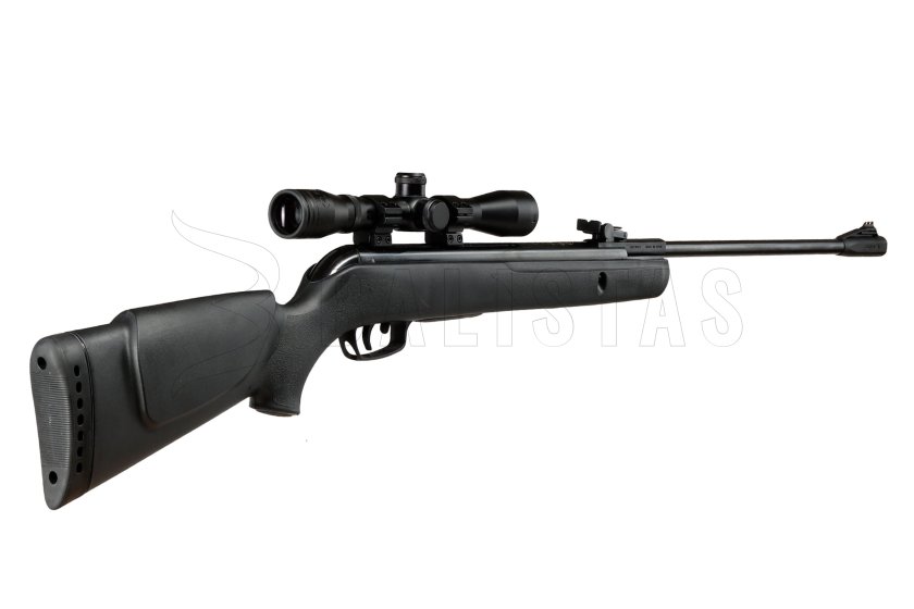Carabina ad aria compressa Gamo Big Cat 1000 4,5mm set 5