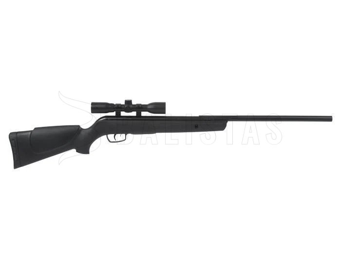 Carabina ad aria compressa Gamo Big Cat 1250 4,5mm 24J SET 2